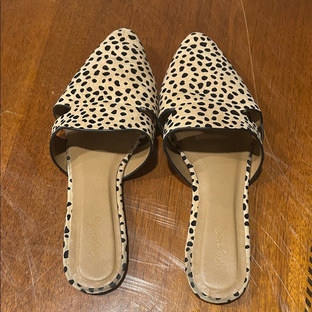 Quipid polka dot Women's Mules